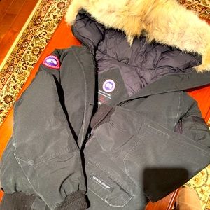 Canada goose Chiliwack